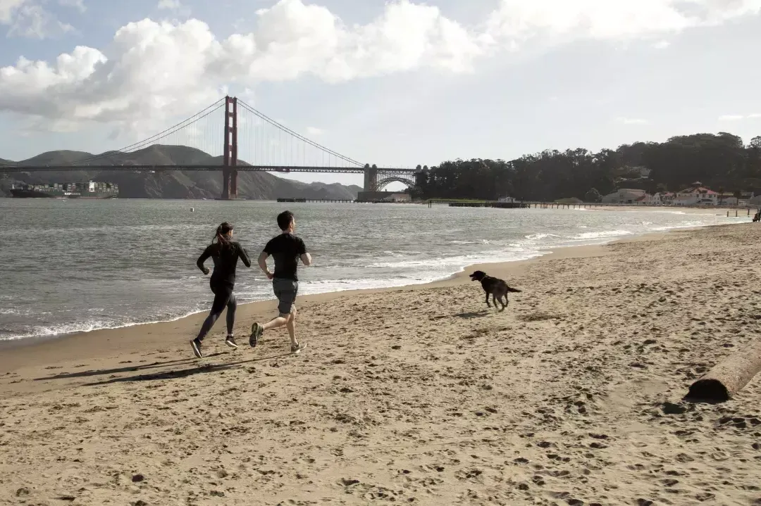 Crissy Field)上的跑步者